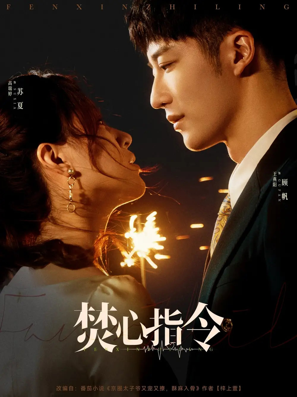 焚心指令（80集）王燕阳&高瑞婷